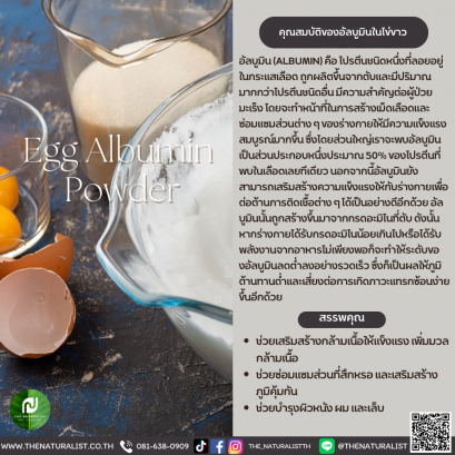 ผงอัลบูมินในไข่ขาว - Egg Albumin Powder