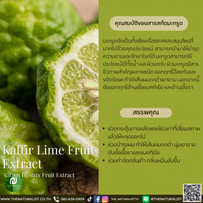 สารสกัดมะกรูด - Kaffir Lime Fruit Extract