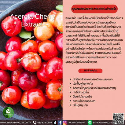 สารสกัดอะเซโรล่าเชอร์รี่ - Acerola Cherry Extract