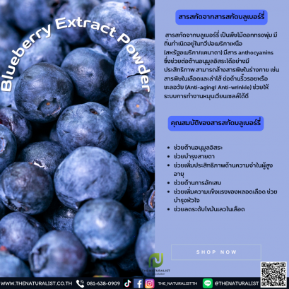 สารสกัดจากบลูเบอร์รี่ - Blueberry Extract Powder