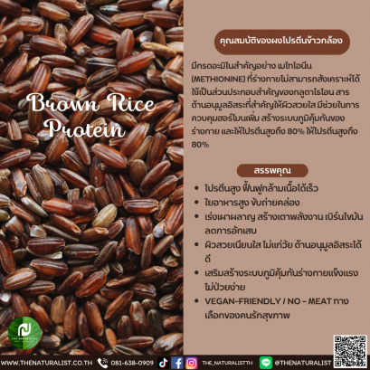 ผงโปรตีนข้าวกล้อง 80% - Brown Rice Protein 80%