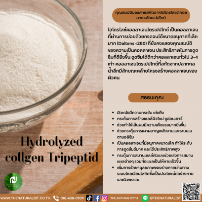 Hydrolyzed Collgen Tripeptid - ไฮโดรไลซด์คอลลาเจนไตรเปปไทด์