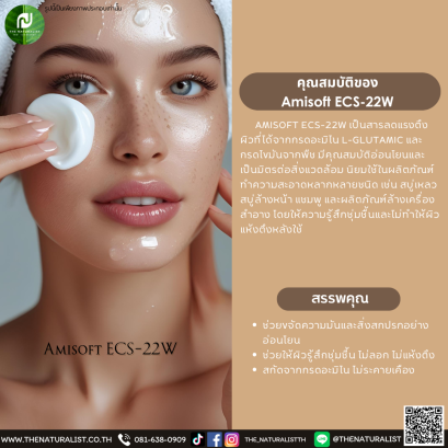 สารลดแรงตึงผิว Amisoft ECS-22W