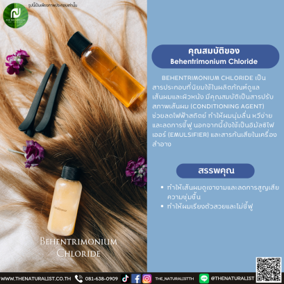 สารปรับสภาพเส้นผม Behentrimonium Chloride