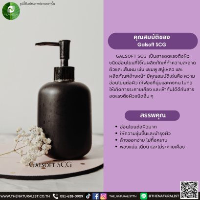 สารลดแรงตึงผิว Galsoft SCG