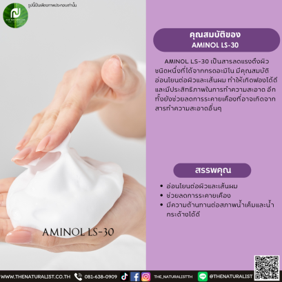สารลดแรงตึงผิวแบบกรดอะมิโน  AMINOL LS-30