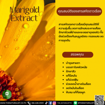 สารสกัดดาวเรือง  - Marigold Extract / Calendula Extract