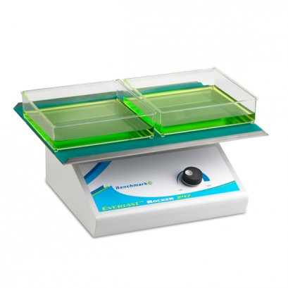 2D Everlast™ 247 Rocker