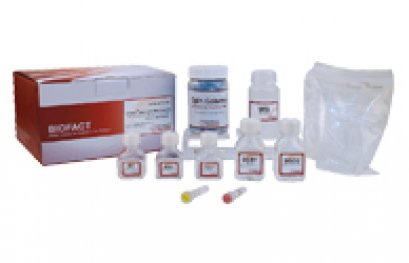 BioFact™ Genomic DNA Prep Kit (Yeast)