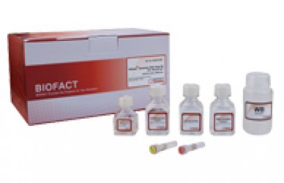 BioFact™ Genomic DNA Prep Kit [Solution type], (Blood), 200 Prep (60 ml)
