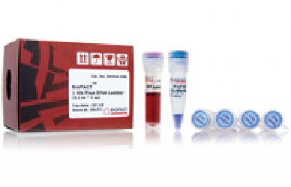 BioFact™ 6X Loading dye (Bromophenol blue), 1 ml x 2 tube