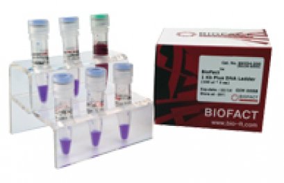 BioFact&trade; 1Kb Plus DNA Ladder, 0.1 ml x 5 ea