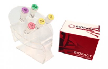 BioFact™ 2X OneStep RT-PCR Pre-Mix, with dye, total Volume 30 ul reactions, 8 strip x 12ea
