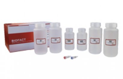 BioFact&trade; Plasmid Prep Solution, 96 well x 50 plates