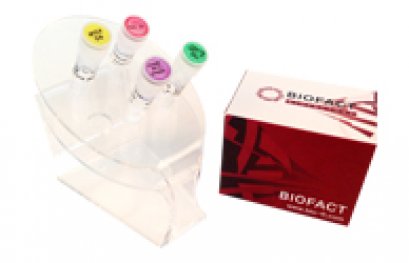 BioFact™ 2X Real-Time PCR Master Mix (final 2.5mM MgCl2), includingSYBR Greeen™ in mixture, 1 ml x 4ea