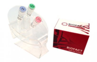 BioFact™ 5X RT Pre-Mix (w/o dye, total volume 20 ul reactions), 8 strip x 12ea