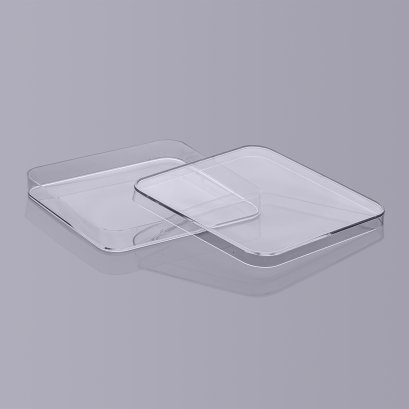 Square Petrl Dishes