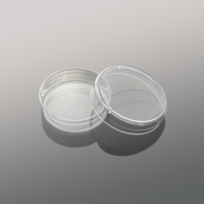 Petri dish
