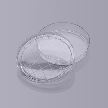 Contact Plate
