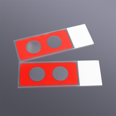 Comet assay slides
