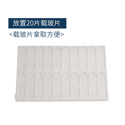 Plastic Slide Tray