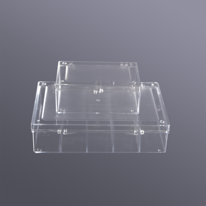 Western Blot Box