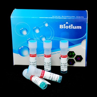 Forget-Me-Not™ EvaGreen® qPCR Master Mix (High ROX)