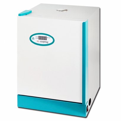 Forced Convection Incubator