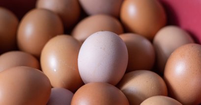 Agitest Food Allergen Rapid Test - Egg