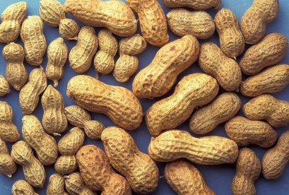 Agitest Food Allergen Rapid Test - Peanut