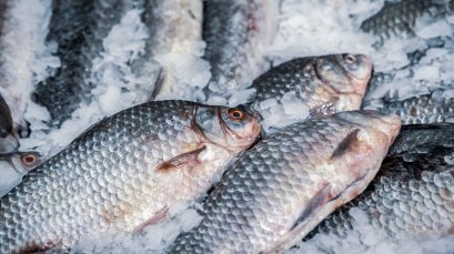 Agitest Food Allergen Rapid Test - Fish