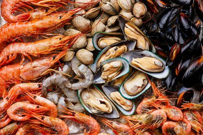 Agitest Food Allergen Rapid Test - Shellfish