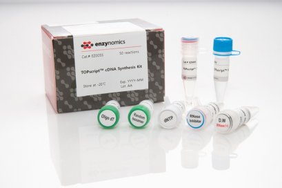 TOPscript™ cDNA Synthesis kit