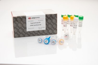 SuperiorScript III cDNA Synthesis Kit,200units/μl