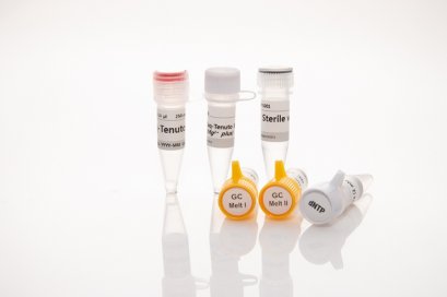 nTaq-Tenuto (Mg2+ plus) ,5units/μl,250U