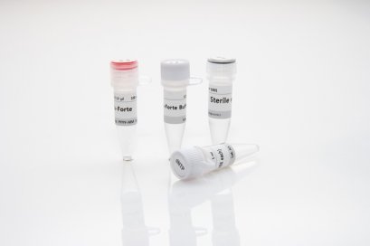 nPfu-Forte (High Fidelity PCR), (2.5 Units/ul), 250U