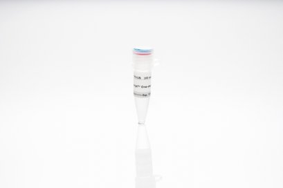TOPscript™ One-step RT PCR Kit