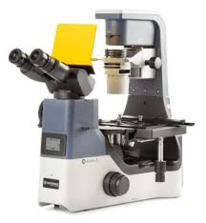 AI.4058-PLFi Achios-X Inverso Binocular Ergo 5-35° tilting head inverted microscope, WF10x/22 mm eyepieces and Plan Semi-Apochromatic PLFi
