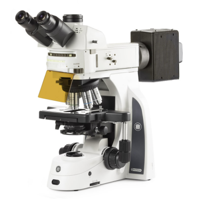 DX.3153-APLi Delphi-X Observer, trinocular microscope with SWF 10x/22 mm Ø 30 mm eyepieces