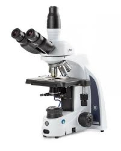 IS.1153-PLi/TM iScope trinocular microscope with EWF 10x/22 mm eyepieces, plan PLi