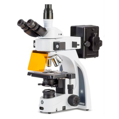 IS.3153-PLi/3 iScope trinocular microscope with EWF 10x/22 mm eyepieces, plan PLi