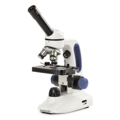 Novex Junior LED EVO microscope