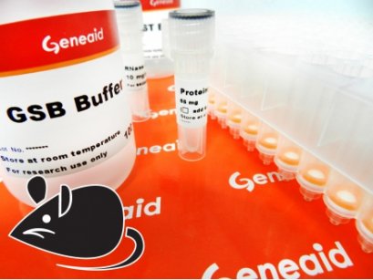 gSYNC&trade; 96 Well DNA Extraction Kit