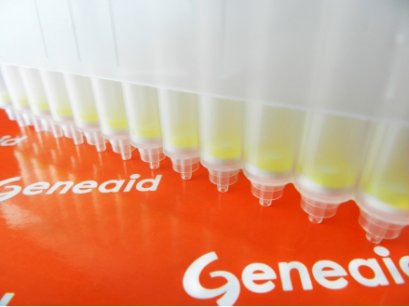 Presto™ RNA 96 Well Binding Plate