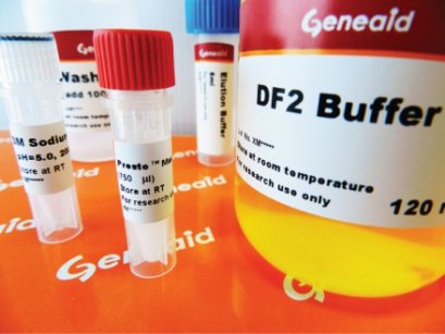 Large DNA Fragments Extraction Kit