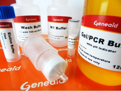 GenepHlow&trade; DNA Cleanup Maxi Kit
