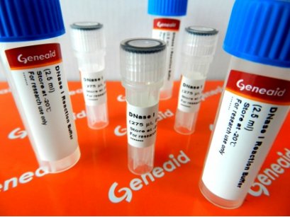 RNase-Free DNase I Set