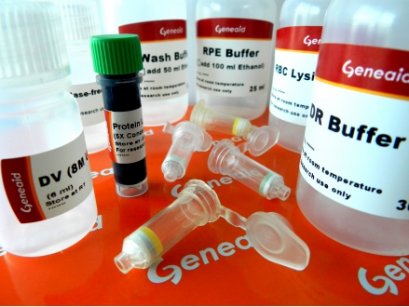 Presto™ DNA/RNA/Protein Extraction Kit