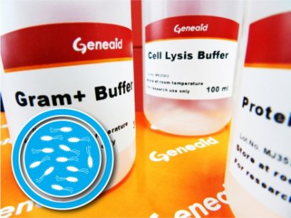 Geneaid™ DNA Isolation Kit (Bacteria) Plus, 1 ml/rxn