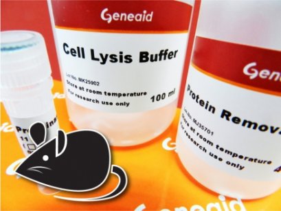 Geneaid™ DNA Isolation Kit (Tissue) Plus, 1 ml/rxn